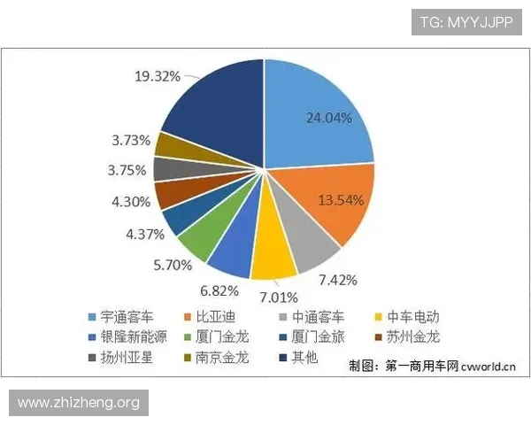 亚星集团在新能源产业中的创新实践与市场前景分析