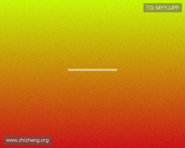 亚星登录官方旗舰店登录入口的安全性分析，确保用户账号信息安全无忧